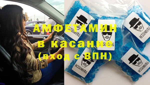 шишки Новодвинск