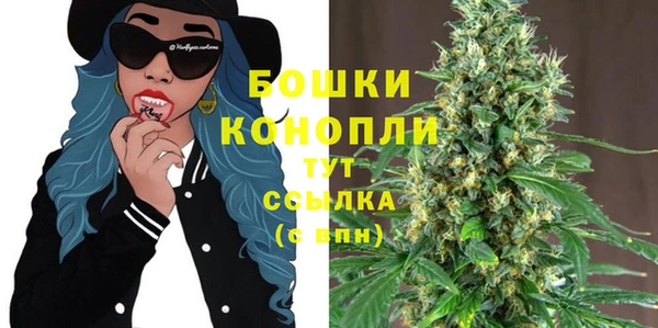 ГАЛЛЮЦИНОГЕННЫЕ ГРИБЫ Наволоки