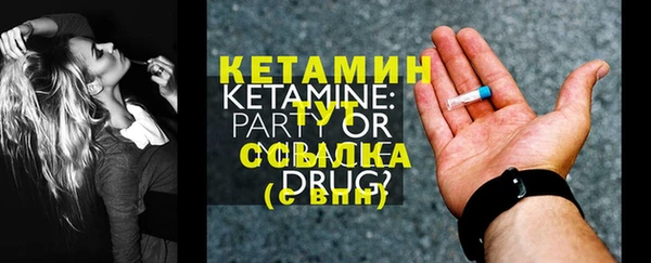 шишки Новодвинск