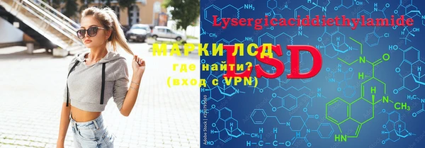 шишки Новодвинск