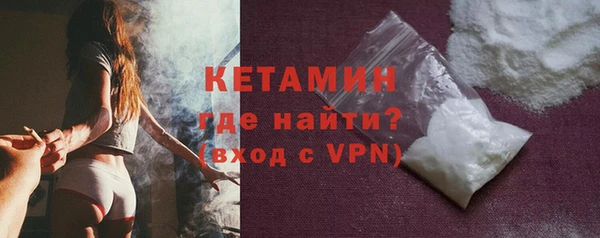 шишки Новодвинск