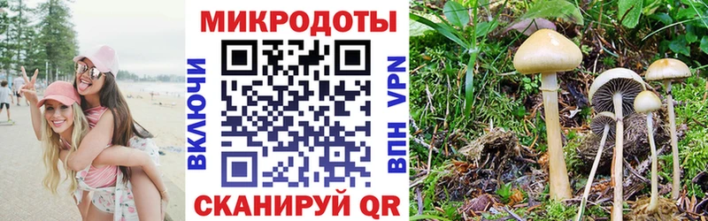 Галлюциногенные грибы прущие грибы что такое Неман